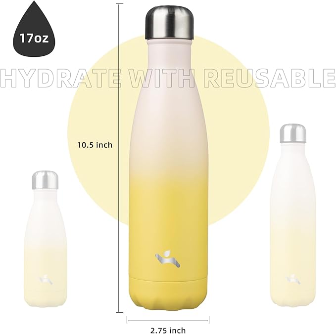 Insulated Water Bottles,17 oz Double Wall Stainless Steel Vacumm Metal Flask for Sports Travel,Lemon-Ruum Studio Home