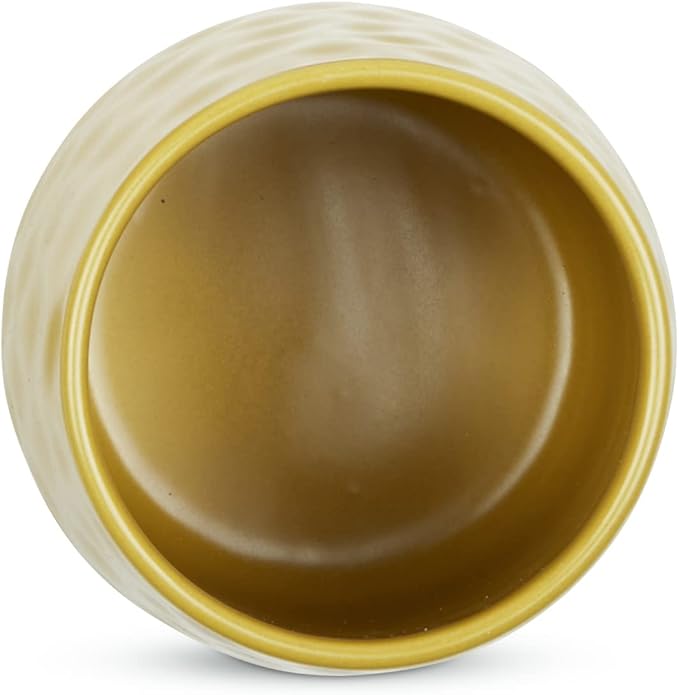 DII Kitchen Accessories Collection, Textured Matte Ceramic Canister Set, Lemongrass, Dimple, 2 Piece-Ruum Studio Home