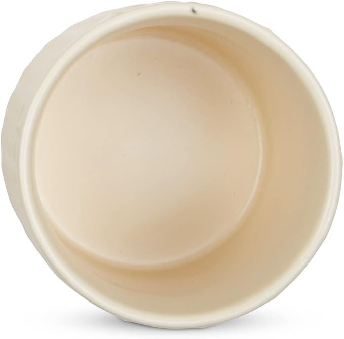 DII Kitchen Accessories Collection, Textured Matte Ceramic Canister Set, Antique White, Vine, 3 Piece-Ruum Studio Home