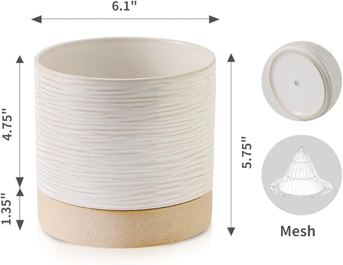 Nihow Ceramic Plant Pot: 6 Inch Planter with Drainage Hole & Saucer for Indoor & Outdoor Plants - Cylinder Round Flower Pot for Succulent/Herbs/Violets - Cream White & Brown-Ruum Studio Home