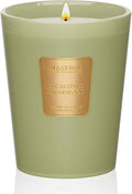 M&SENSE Eucalyptus Cedarwood Scented Natural Soy Wax Candle, 14.1oz 60 Hours Long Lasting Slow Burning Candles for Home Decor, Aromatherapy Candle for Stress Relief-Ruum Studio Home