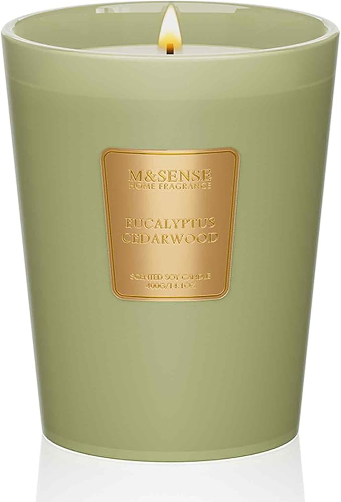 M&SENSE Eucalyptus Cedarwood Scented Natural Soy Wax Candle, 14.1oz 60 Hours Long Lasting Slow Burning Candles for Home Decor, Aromatherapy Candle for Stress Relief-Ruum Studio Home