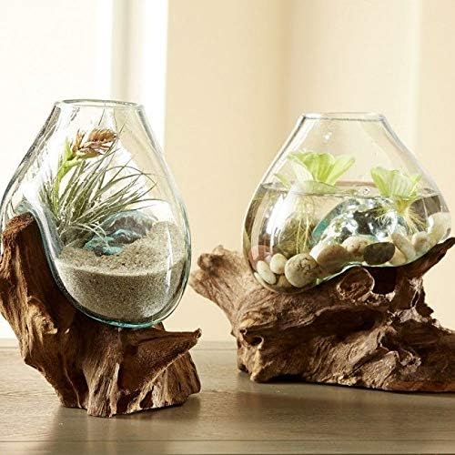 Hand Blown Molten Glass & Teak Wood Terrarium/Vase/Fish Bowl - Premium Quality (10" - 12" High)-Ruum Studio Home