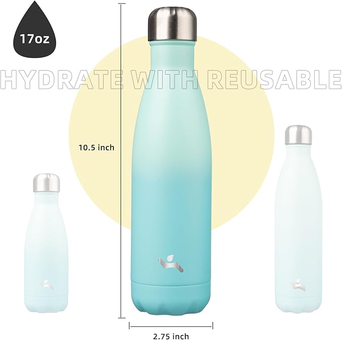 Insulated Water Bottles,17 oz Double Wall Stainless Steel Vacumm Metal Flask for Sports Travel,Mint-Ruum Studio Home