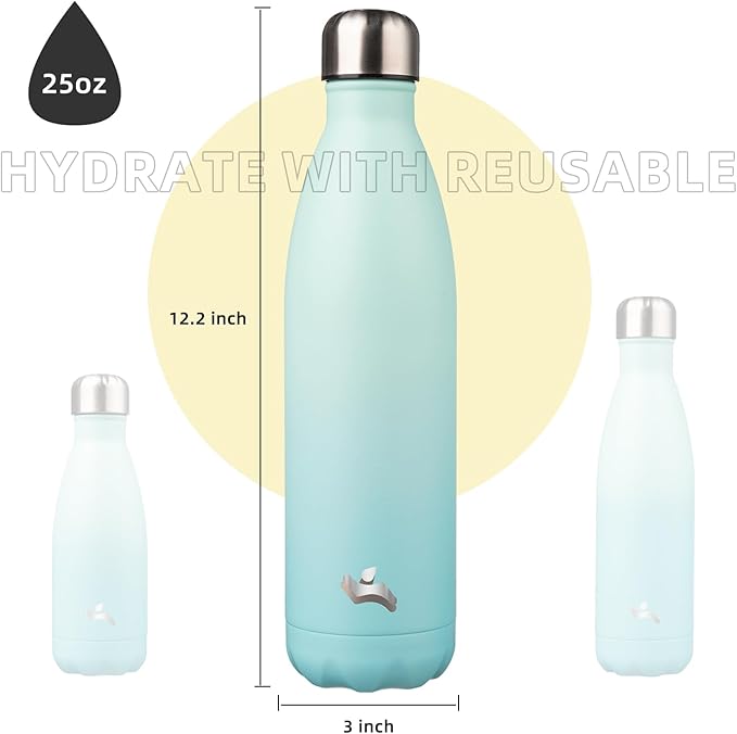 Insulated Water Bottles,25 oz Double Wall Stainless Steel Vacumm Metal Flask for Sports Travel,Mint-Ruum Studio Home