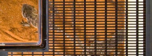 Exo Terra Faunarium Flat Home Plastic Reptile Terrarium, Large (18" x 12" x 6.5"), Ideal for Temporary Housing, Quarantine, and Transport, Transparent Plastic Door for Easy Access-Ruum Studio Home