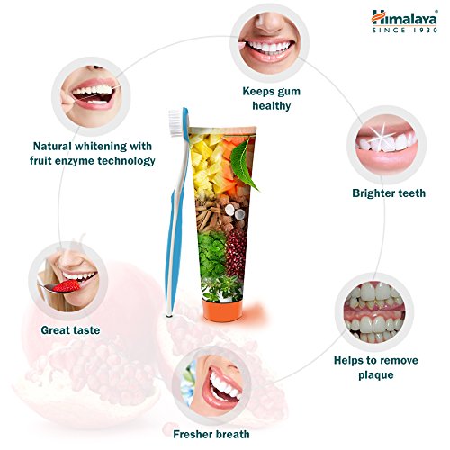 Himalaya Botanique Complete Care Toothpaste, Spearmint Flavor, Fights Plaque, Freshens Breath, Fluoride Free, No Artificial Flavors, SLS Free, Cruelty Free, Foaming, 5.29 Oz, 1 Pack-Ruum Studio Home