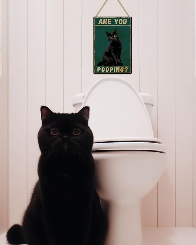 ALKB Funny Black Cat Sign Are You Pooping Metal Signs Black Cat Gift Vintage Bathroom Wall Decor 8 x 12 Inch-Ruum Studio Home