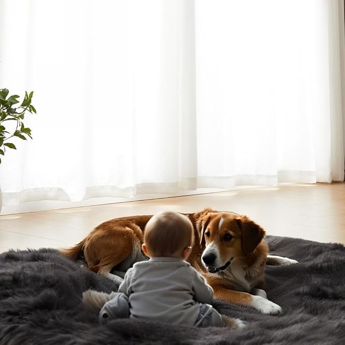 AMTOVO Faux Fur Sheepskin Rug for Living Room, 4 x 6 ft Black Fluffy Area Rug for Bedroom, Playroom, Luxury Room Decor, Rectangle-Ruum Studio Home