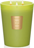 M&SENSE Basil Ginger Scented Candle 35oz 150H Burn Time Long Lasting, 3-Wick Natural Aromatherapy Candle Highly Scented, Home Fragrance Housewarming Gifts-Ruum Studio Home