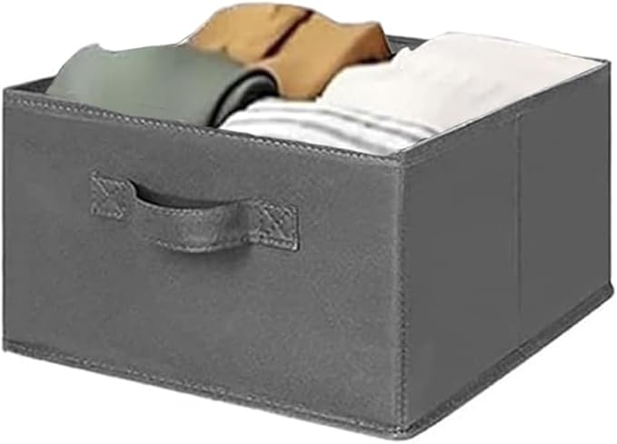 MAX Houser Hanging Shelf Closet Storage Organizer Removable Drawers ，Hanging Storage Organizer Hanging Sweater 2 Sock Underwear Drawers for Closet, Bedroom, Dark Grey-Ruum Studio Home