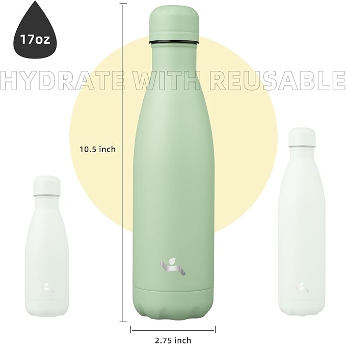 Insulated Water Bottles,17 oz Double Wall Stainless Steel Vacumm Metal Flask for Sports Travel,Macaron Green-Ruum Studio Home