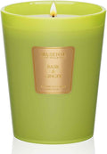 M&SENSE Basil Ginger Scented Natural Soy Wax Candle, 14.1oz 60 Hours Long Lasting Slow Burning Candles for Home Decor, Aromatherapy Candle for Stress Relief-Ruum Studio Home