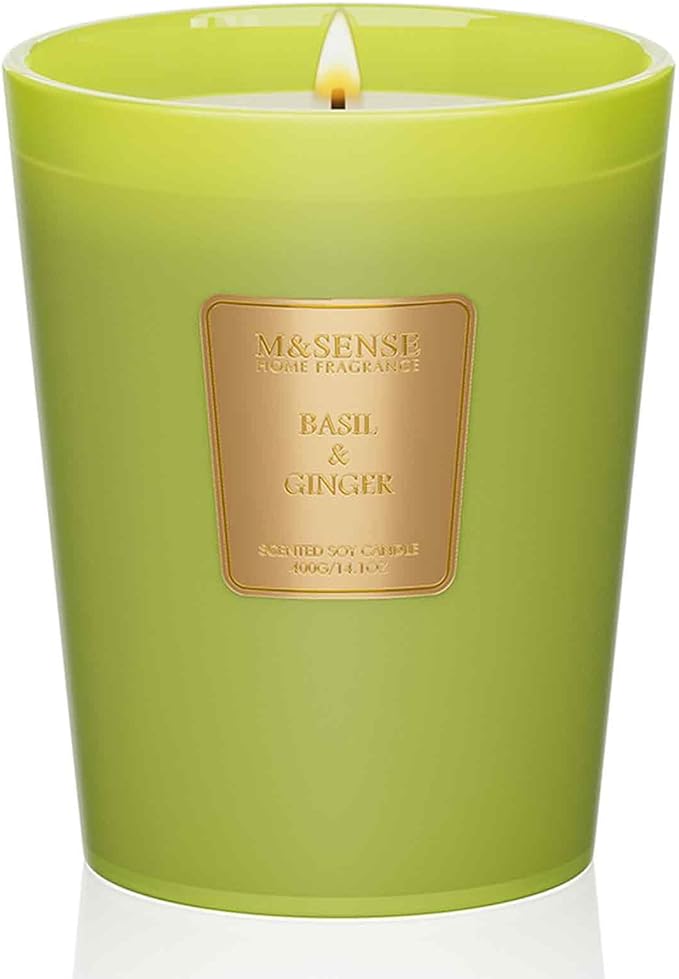 M&SENSE Basil Ginger Scented Natural Soy Wax Candle, 14.1oz 60 Hours Long Lasting Slow Burning Candles for Home Decor, Aromatherapy Candle for Stress Relief-Ruum Studio Home