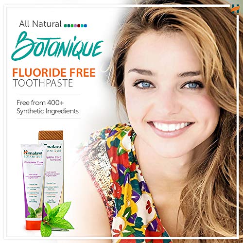 Himalaya Botanique Complete Care Toothpaste, Spearmint Flavor, Fights Plaque, Freshens Breath, Fluoride Free, No Artificial Flavors, SLS Free, Cruelty Free, Foaming, 5.29 Oz, 1 Pack-Ruum Studio Home