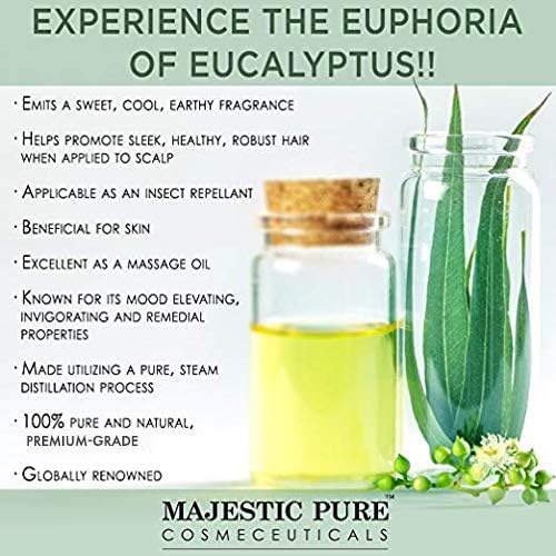 Majestic Pure Eucalyptus Essential Oil with Glass Dropper - 1 Fl Oz - 100% Pure and Natural Eucalyptus Oil - Premium Grade Essential Oils for Diffuser, Aromatherapy, Soap and Candle Making-Ruum Studio Home