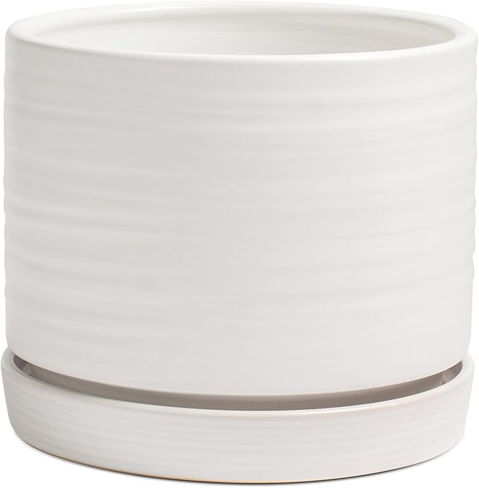 8 Inch Pots for Plants, Ceramic Planter Pot with Drainage Hole & Saucer, Indoor/Outdoor Cylinder Round Planter Pot, Matte White-Ruum Studio Home
