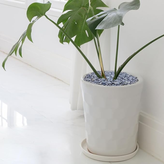 10LB Succulent and Cactus Gravel, 1/5 Inch Natural Decorative Polished Pebbles for Landscaping, Grey River Rocks for Plants, Vases, Aquariums, Terrarium and Outdoor Gardening-Ruum Studio Home