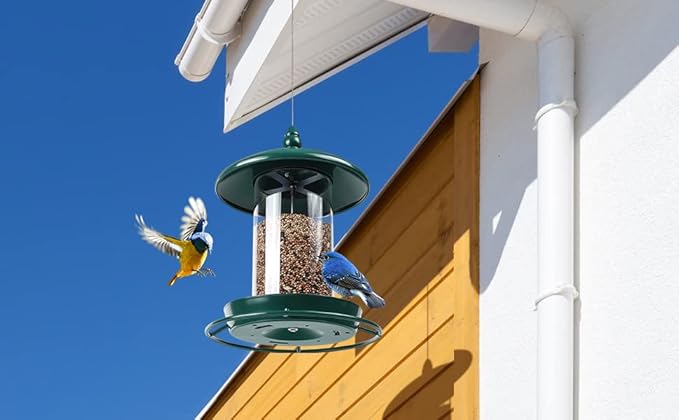 Pack of 2 Bird Feeder for Outdoor Hanging. Green-Ruum Studio Home