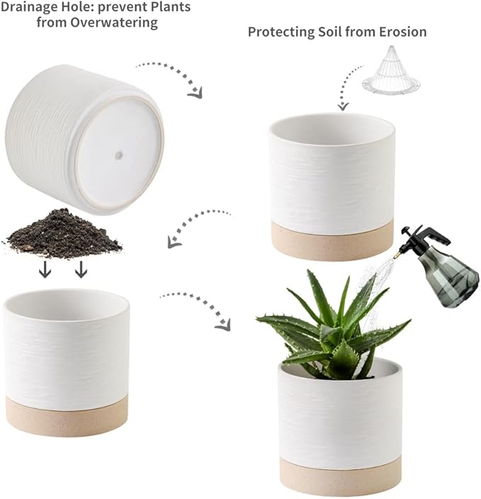 Nihow Ceramic Plant Pot: 6 Inch Planter with Drainage Hole & Saucer for Indoor & Outdoor Plants - Cylinder Round Flower Pot for Succulent/Herbs/Violets - White & Brown-Ruum Studio Home