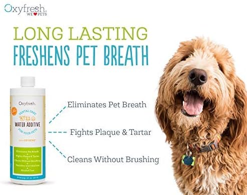 Oxyfresh Premium Pet Dental Care Solution Pet Water Additive: Best Way to Eliminate Bad Dog Breath and Cat Bad Breath - Fights Tartar & Plaque - So Easy, Just Add to Water! Vet Recommended 2 Pack-Ruum Studio Home