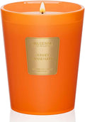 M&SENSE Sunset Mandarin Scented Natural Soy Wax Candle, 14.1oz 60 Hours Long Lasting Slow Burning Candles for Home Decor, Aromatherapy Candle for Stress Relief-Ruum Studio Home