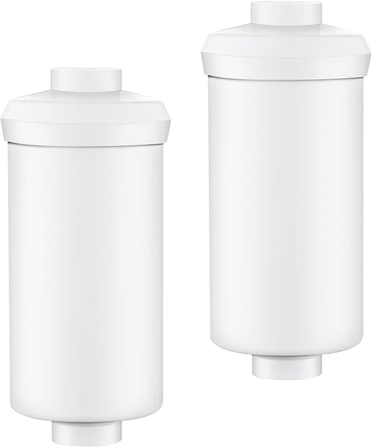 2 Pack Fluoride Water Filter,Replacement for PF-2® Fluoride Filters, Fluoride and Arsenic Filter Compatible with Berkey Gravity Filtration System、 Big、 Travel、 Royal、Imperial and Crown Series-Ruum Studio Home