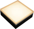 LUMENGY Paver Light 6×6 Inch (5.9 inch X 5.9 inch), Warm White Glare-Free Illumination for Driveways, Pathways, Pool Deck & Patios,12V AC/DC, Waterproof & Drive-Over Rated-Ruum Studio Home