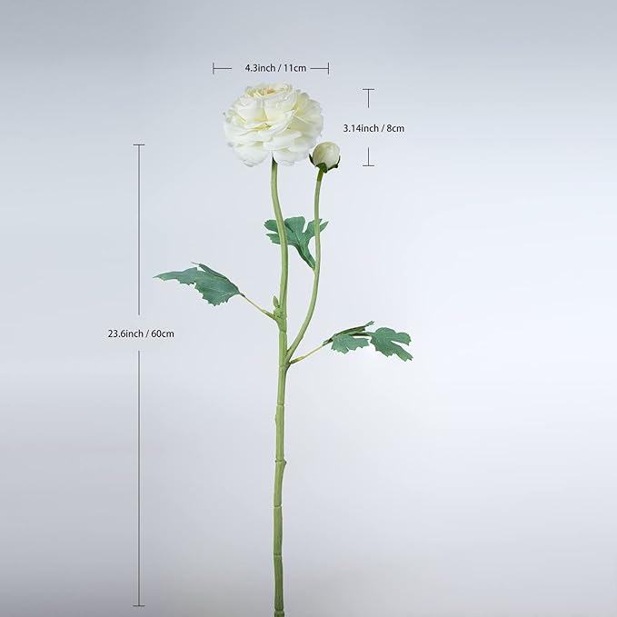 Artificial Ranunculus Long Stem Buttercup Silk Flowers 6pcs for Home Decor and Wedding Decorations(White 1)-Ruum Studio Home