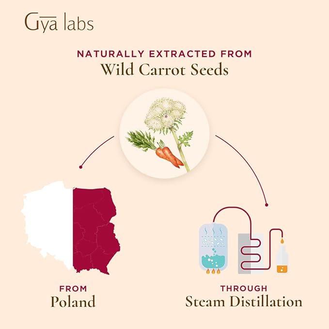 Gya Labs Carrot Seed Essential Oil - 0.34 Fl Oz - 100% Pure Natural Carrot Oil for Skincare, Hair, Scalp & Aromatherapy, Massages ,DIY ＆Candle Making Scent-Ruum Studio Home