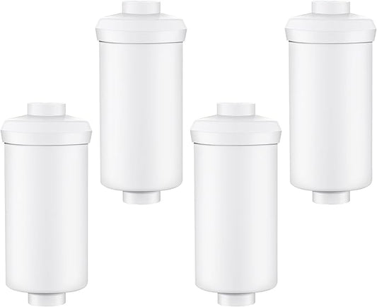 4 Pack Fluoride Water Filter,Replacement for PF-2® Fluoride Filters, Fluoride and Arsenic Filter Compatible with Berkey Gravity Filtration System、 Big、 Travel、 Royal、Imperial and Crown Series-Ruum Studio Home