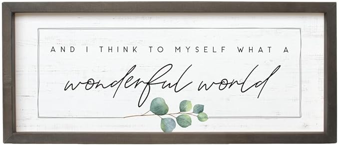 Simply Said, INC Farmhouse Frames What a Wonderful World Wooden Sign, Rustic Framed Wall Art, Inspirational Farmhouse Home Decor, 10 x 24 Inch-Ruum Studio Home