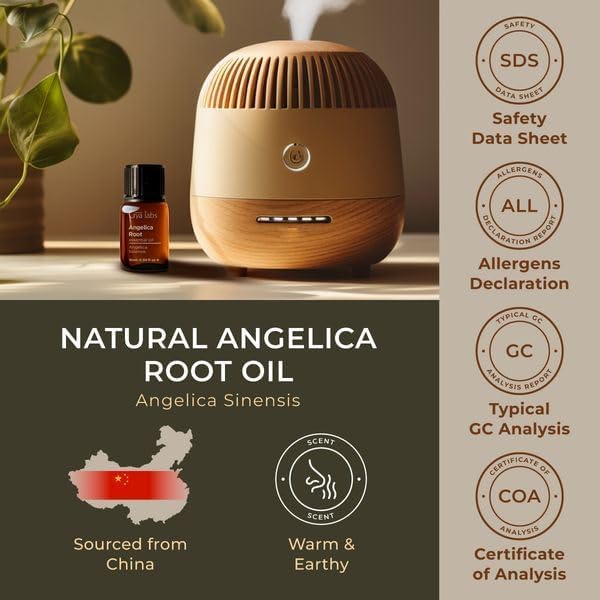Gya Labs Angelica Root Essential Oil for Diffuser - 0.34 Fl Oz - 100% Pure Natural Angelica Oil for Skin, Hair, Massage & Candle Making Scent-Ruum Studio Home
