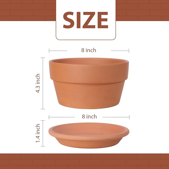 INGOFIN 8 Inch Terracotta Shallow Pots Set with Saucer - Ceramic Clay Pots with Drainage Hole, Terra Cotta Pot for Plants for Indoor Outdoor Plants, Set of 2-Ruum Studio Home