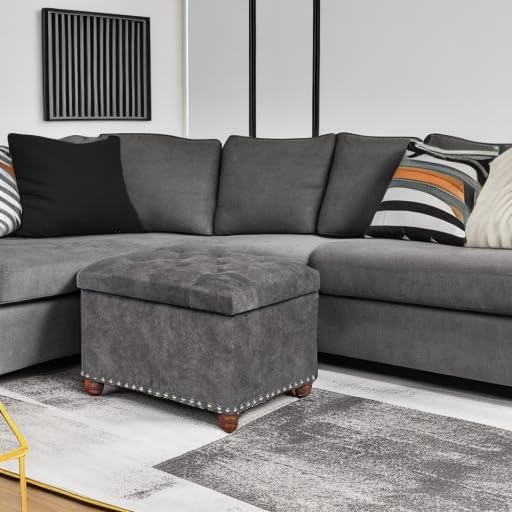 Joveco 24" Rectangular Ottoman with Storage for Living Room, Upholstered Storage Bench Foot Stool and Seat with Lift Off Lid, Coffee Table Footrest for Bedroom-Ruum Studio Home