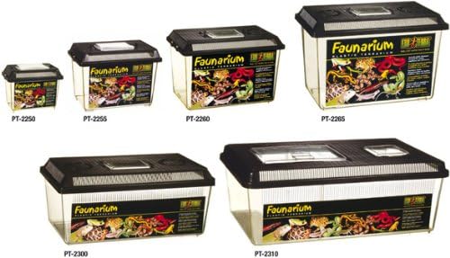 Exo Terra Faunarium Flat Home Plastic Reptile Terrarium, Large (18" x 12" x 6.5"), Ideal for Temporary Housing, Quarantine, and Transport, Transparent Plastic Door for Easy Access-Ruum Studio Home