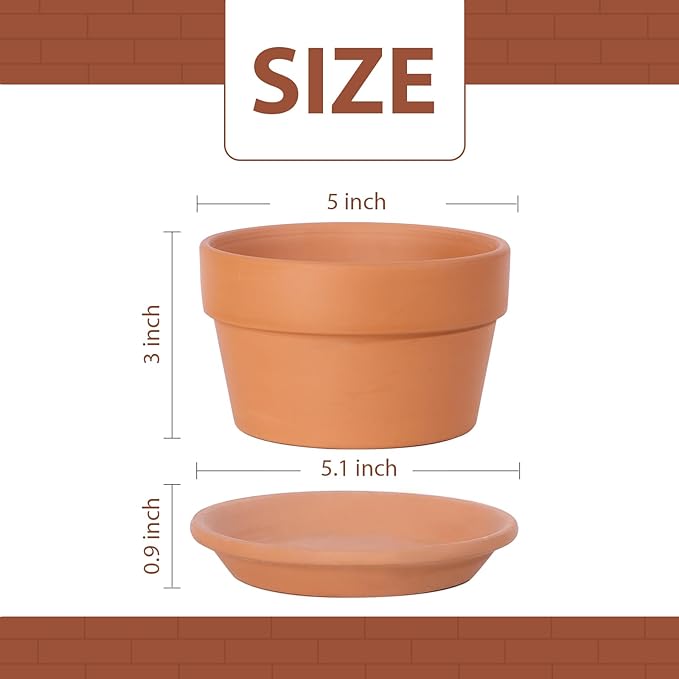 INGOFIN 5 Inch Terracotta Shallow Pots Set with Saucer - Ceramic Clay Pots with Drainage Hole, Terra Cotta for Plants for Indoor Outdoor Plants, Set of 6-Ruum Studio Home