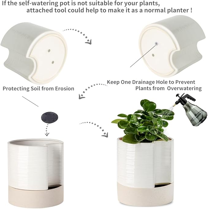 Nihow Self Watering Plant Pot: 8 Inch Ceramic Planter with Drainage Hole & Water Storage Plus for Indoor & Outdoor Plants - Cylinder Round Flower Pot for Succulent/Herbs/Violets - Cream White & Brown-Ruum Studio Home