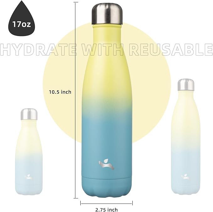 Insulated Water Bottles,17 oz Double Wall Stainless Steel Vacumm Metal Flask for Sports Travel,Sandy Beach-Ruum Studio Home