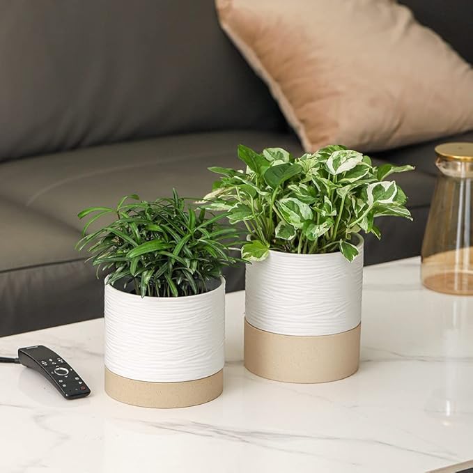 Nihow Ceramic Plant Pot: 6 Inch Planter with Drainage Hole & Saucer for Indoor & Outdoor Plants - Cylinder Round Flower Pot for Succulent/Herbs/Violets - White & Brown-Ruum Studio Home