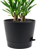 Self Watering Pots for Indoor Plants,12 inch Planters with Drainage Holes Plastic Flower Pots with Deep Reservoir, Black-Ruum Studio Home
