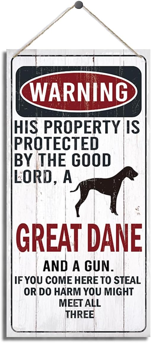 Warning Sign, This Property Is Protected By The Goodlord, A Great Dane And A Gun Warning Wood Plaque Sign, Funny Door Signs, Decorative Wood Hanging Suspension Plaque, Farmhouse Wooden Wall Decor-Ruum Studio Home