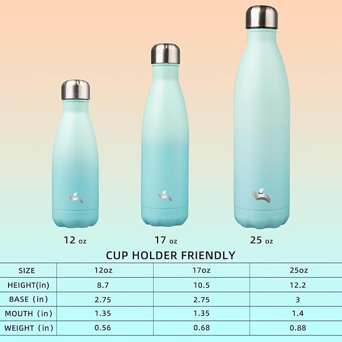 Insulated Water Bottles,25 oz Double Wall Stainless Steel Vacumm Metal Flask for Sports Travel,Mint-Ruum Studio Home
