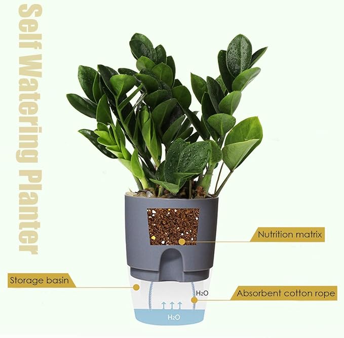 Vanavazon 6 Inch Self Watering Planter Pots for Indoor Plants, 3 Pack African Violet Pots with Wick Rope-Grey-Ruum Studio Home