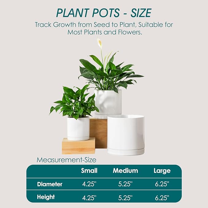 vancasso Ceramic Planters, Plant Pots for Indoor Plants, 6.25+8.25+10.25 Inch Ceramic Pots for Plants, Flower Pots with Drainage Holes, Planters Pot for Indoor House Plant, Set of 3, White-Ruum Studio Home