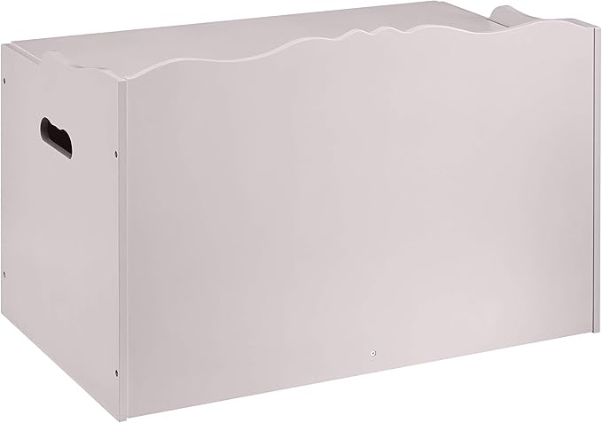 Amazon Basics Kids Toy Box, Wooden Organizer Storage Chest, Gray, 30" x 18" x 19"-Ruum Studio Home