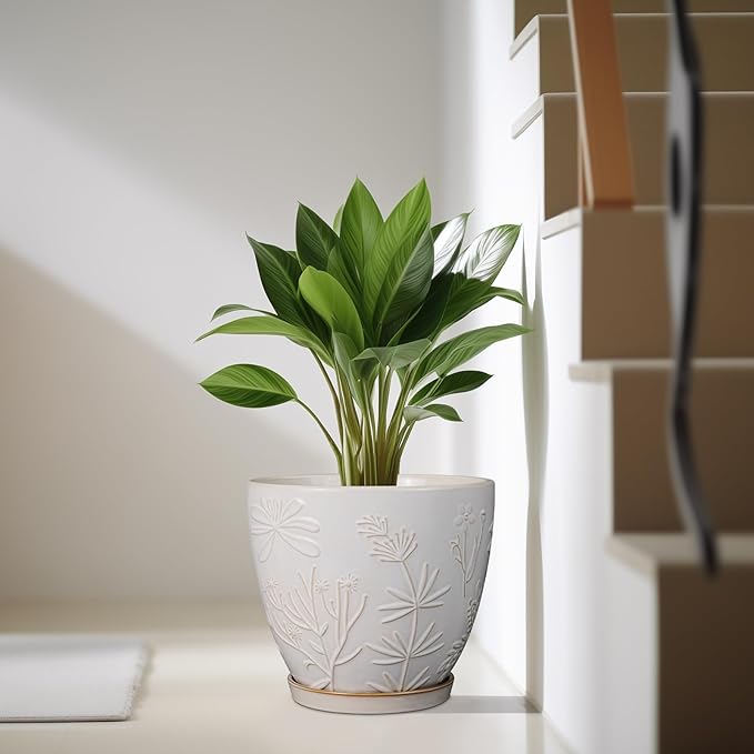 10 Inch Plant Pot Ceramic Planter Pot with Drainage Hole and Saucer Round Planter Large Flower Pot for Indoor Outdoor Plants Home Garden Decor White-Ruum Studio Home