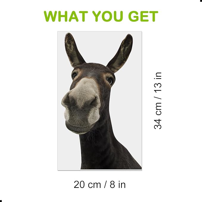 Funny Donkey Wall Decals - Peel and Stick Cute Window Stickers, Removable Vinyl Farmhouse Decor, Weird Gifts for Friends-Ruum Studio Home