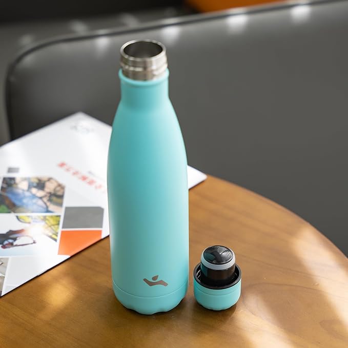 Insulated Water Bottles,17 oz Double Wall Stainless Steel Vacumm Metal Flask for Sports Travel,Turquoise-Ruum Studio Home