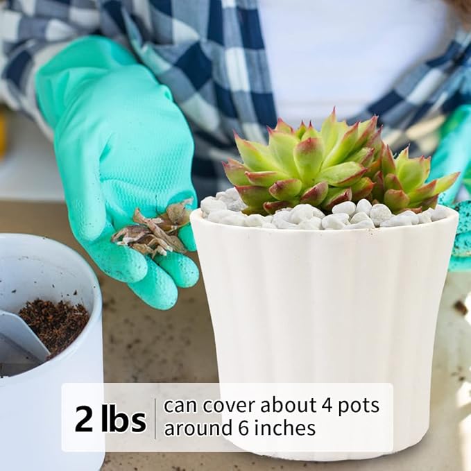 2LB Succulent and Cactus Gravel Pebbles, 1/5 Inch White Natural Decorative Polished Stones, River Rocks for Plants, Vases, Aquariums, Terrarium and Outdoor Gardening,White-Ruum Studio Home